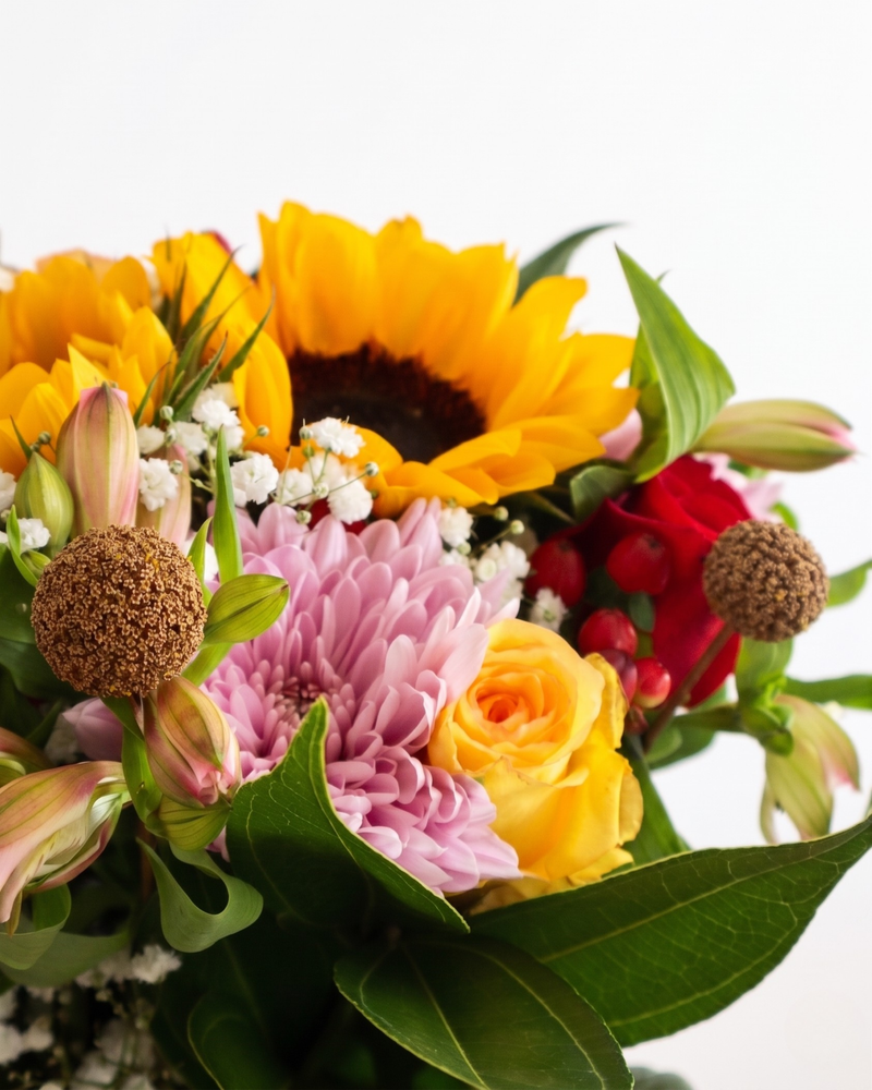Harvest of Pachamama