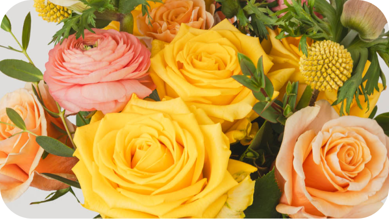 Bouquet Subscription