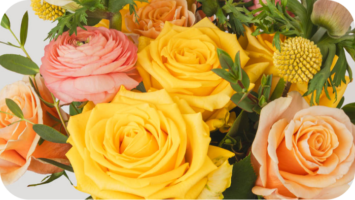 Bouquet Subscription