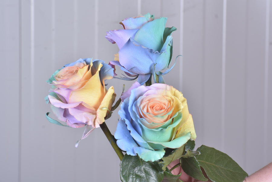 Build Your OwnTinted Bouquet