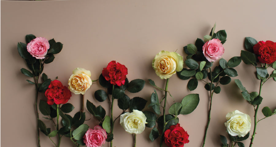 Build YourOwn Bouquet