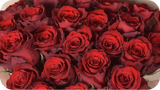 Roses Subscription
