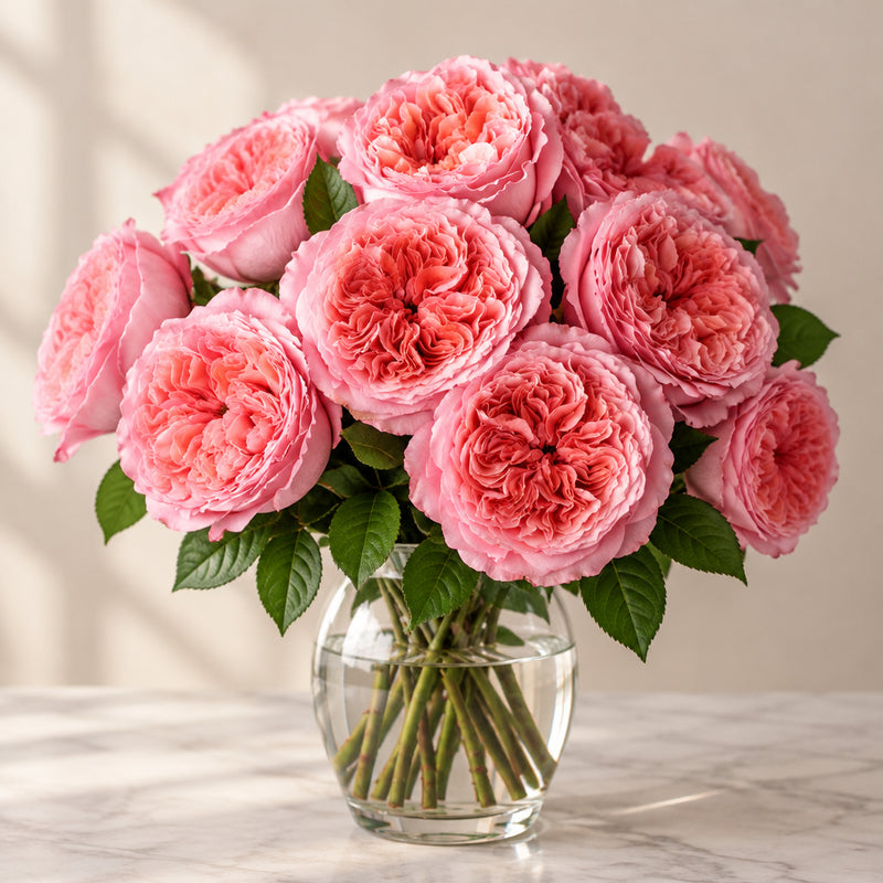 Garden Roses — Dark Pink