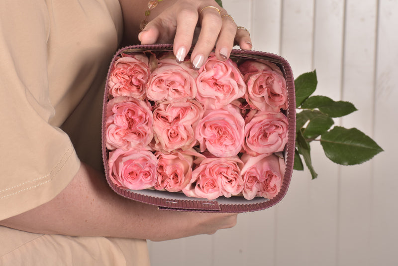 Garden Roses — Pink