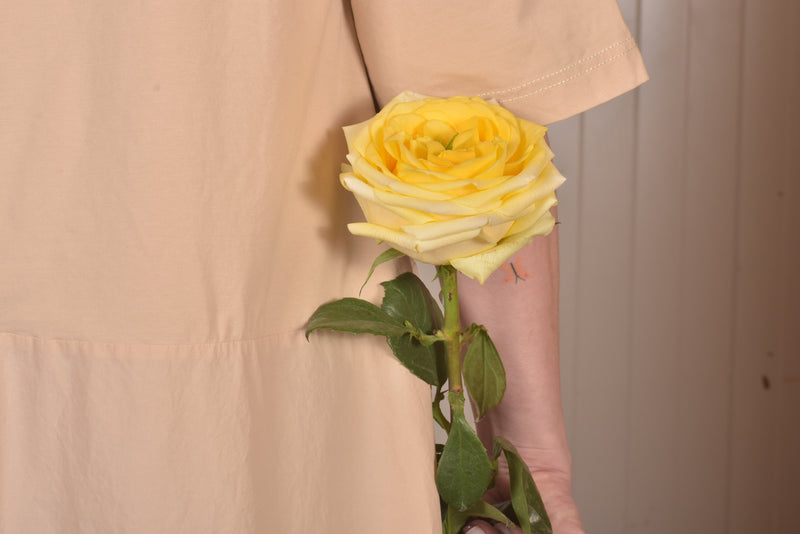 Garden Roses — Yellow