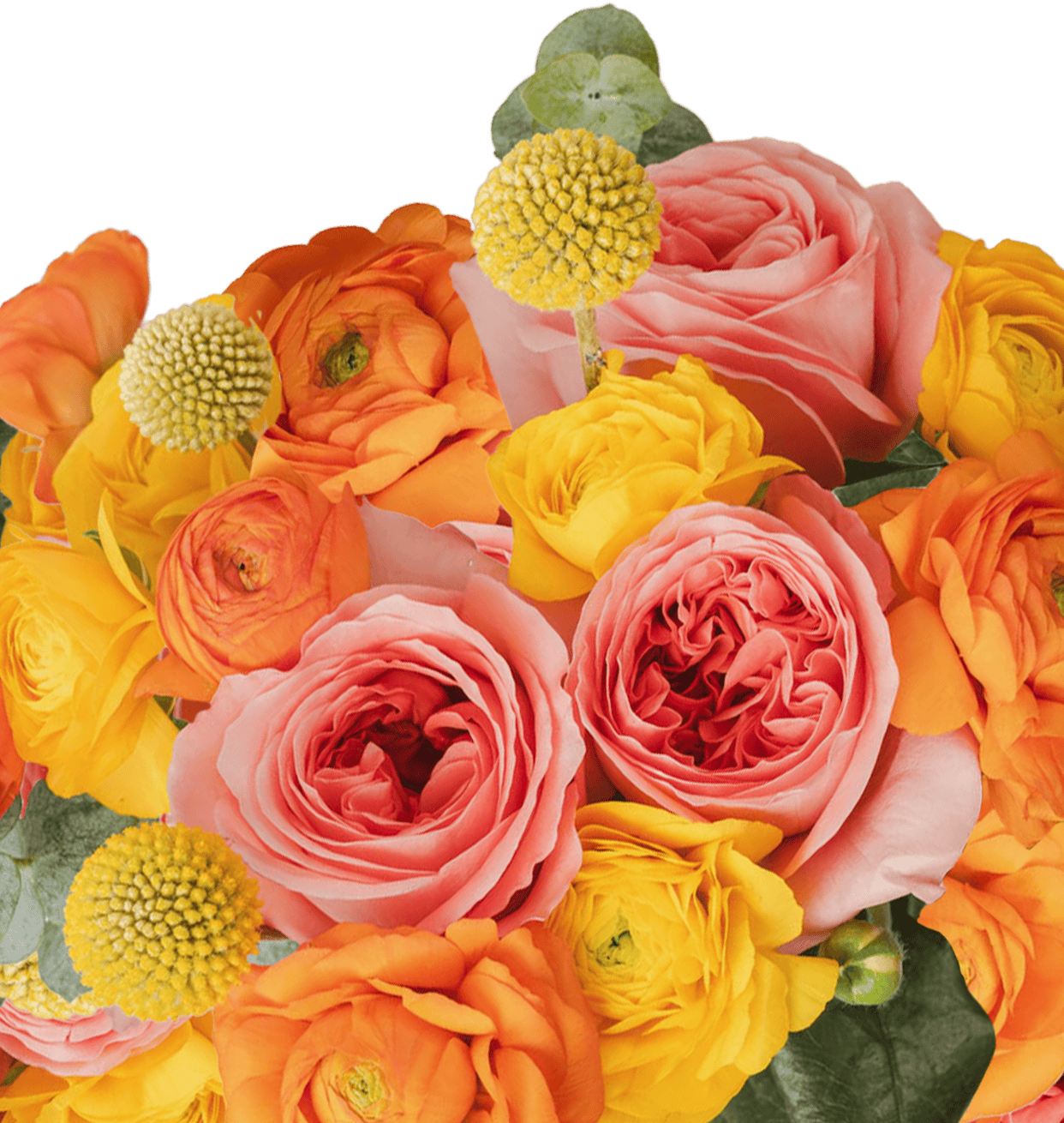 Bouquet of pink, orange and yellow roses with craspedia