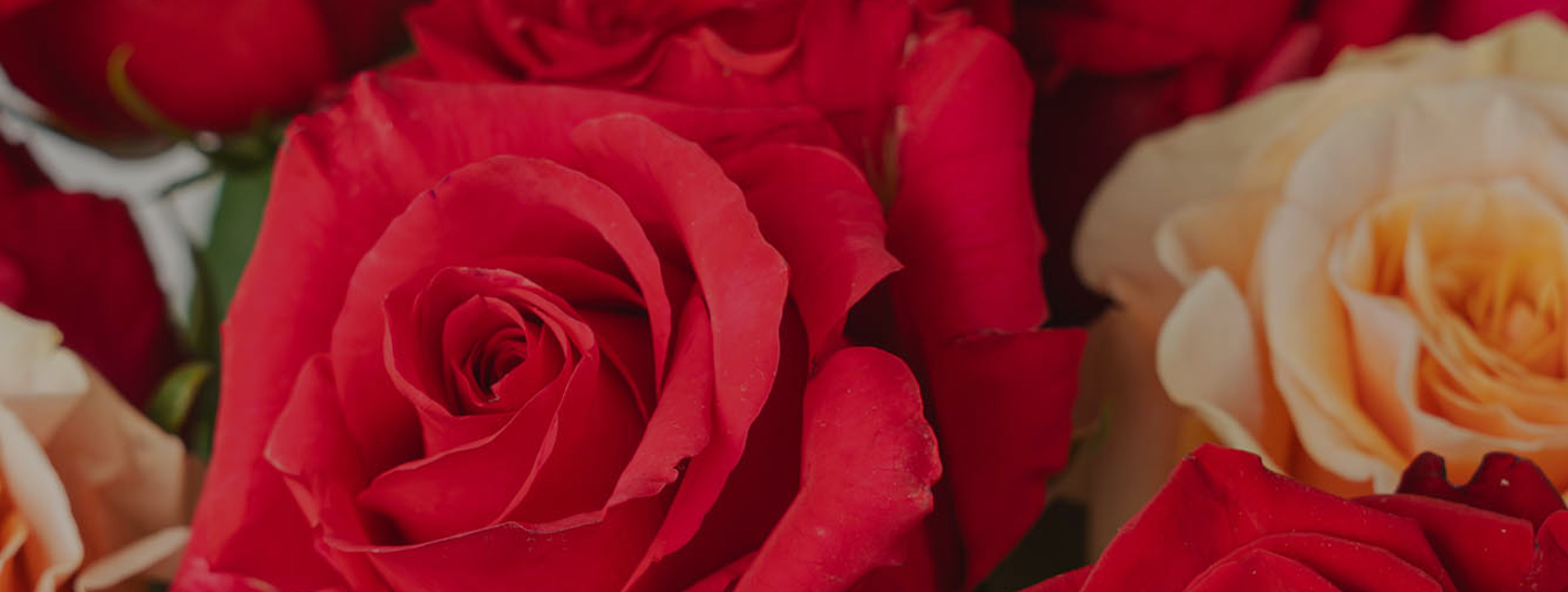 Every bouquet beginswith your idea