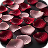 Rose Petals